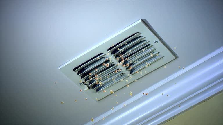 Best Affordable Duct Cleaning Services  in Marlborough, MO