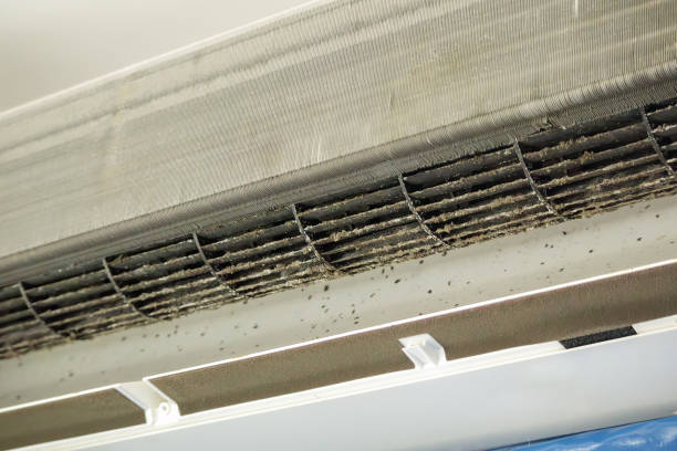 Best Best Air Duct Cleaning Company  in Marlborough, MO
